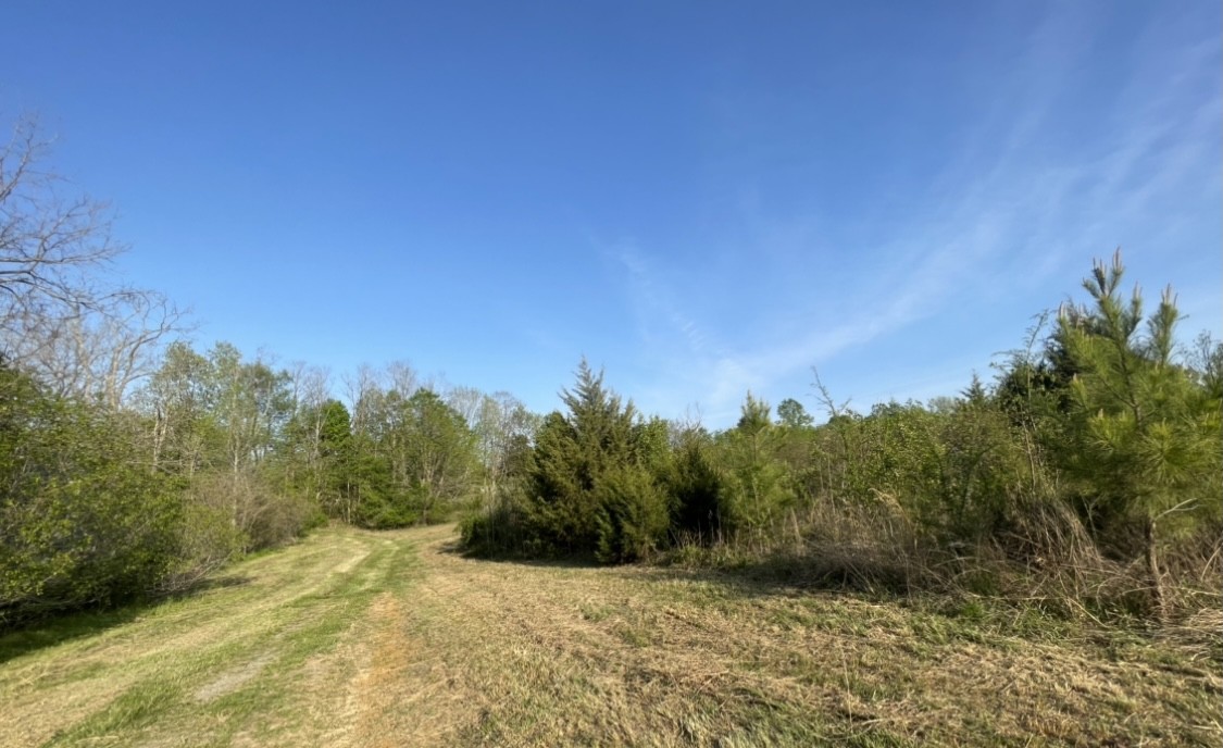 0 Osborne Road Greenbrier, TN 37073 - Photo 4 of 12