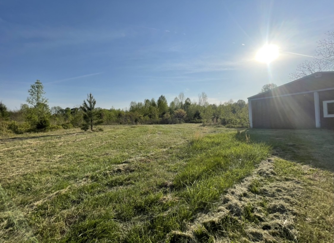 0 Osborne Road Greenbrier, TN 37073 - Photo 5 of 12