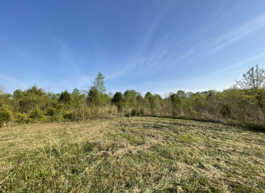 0 Osborne Road Greenbrier, TN 37073 - Photo 6 of 12