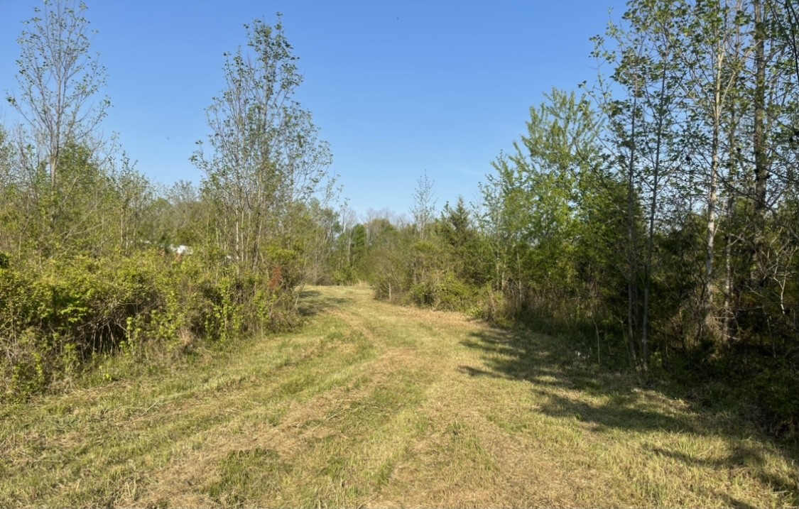 0 Osborne Road Greenbrier, TN 37073 - Photo 8 of 12