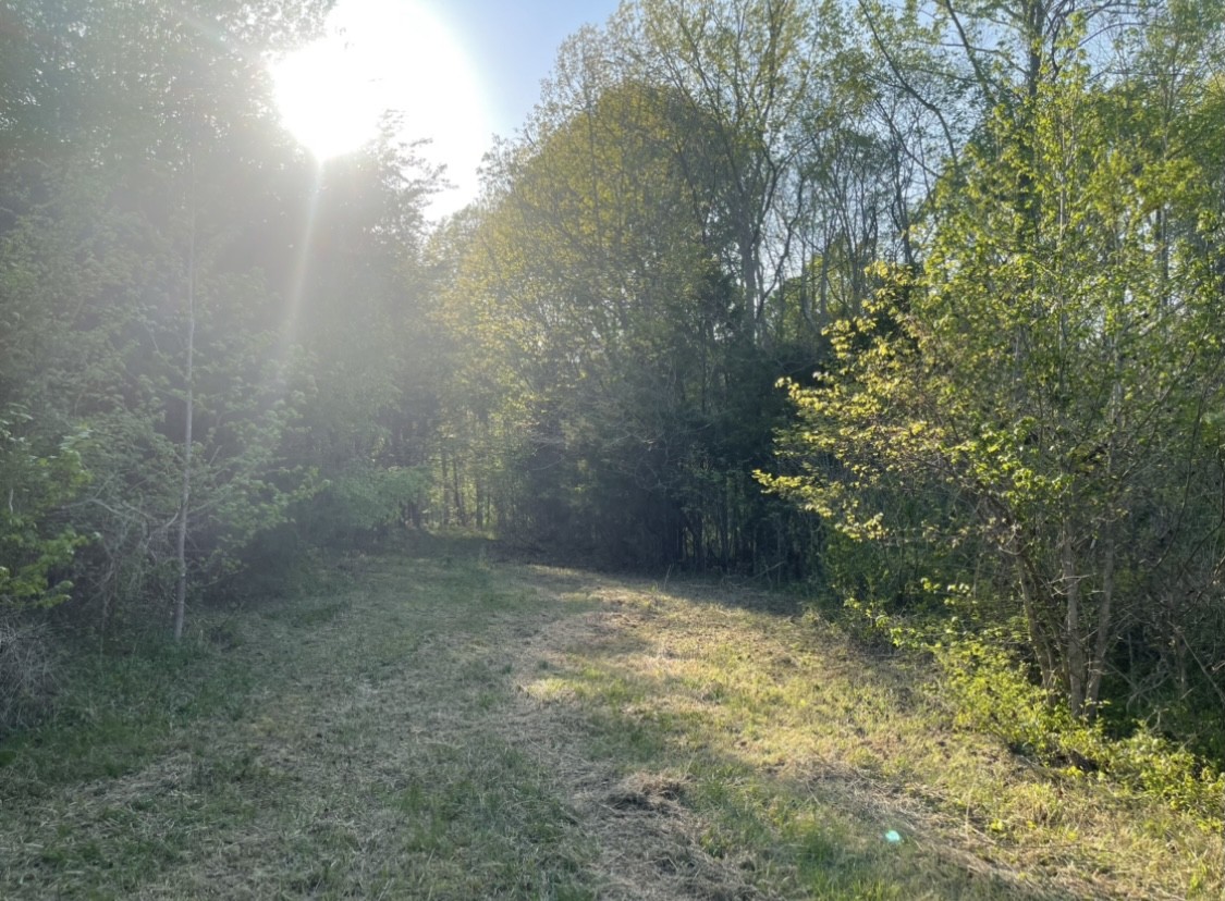 0 Osborne Road Greenbrier, TN 37073 - Photo 9 of 12