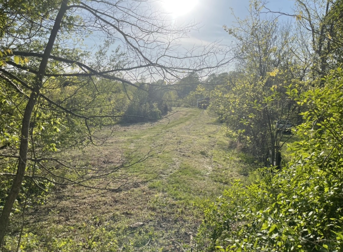 0 Osborne Road Greenbrier, TN 37073 - Photo 10 of 12