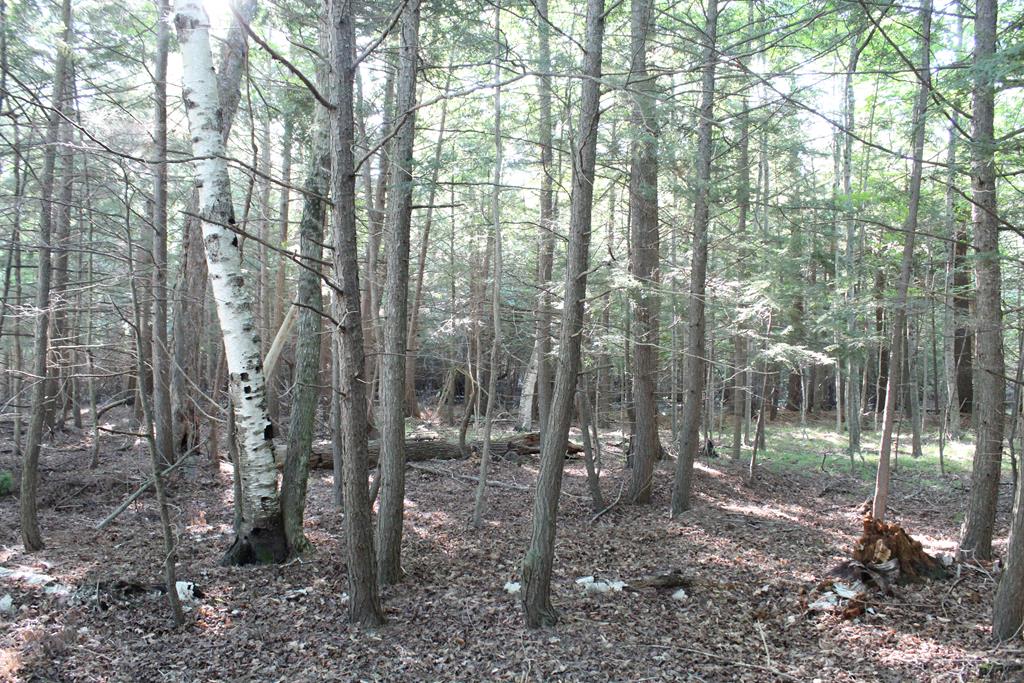Lot 2 Gibraltar Road Fish Creek, WI 54212 - Photo 8 of 12