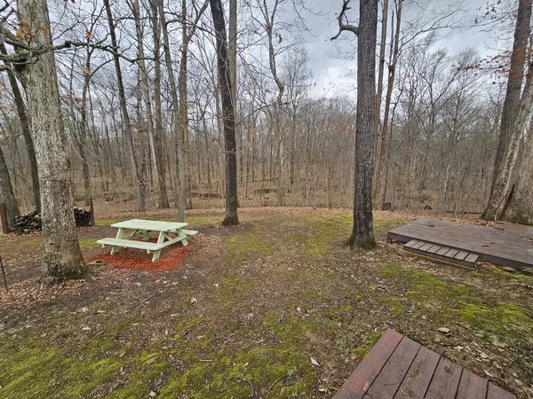 a view of a backyard with large trees