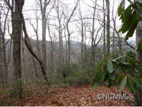 Lot 7 Maybank Road, Unit 7 Saluda, NC 28773 - Photo 3 of 9 Gallery Image 3