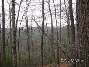 Lot 7 Maybank Road, Unit 7 Saluda, NC 28773 - Photo 4 of 9 Gallery Image 4
