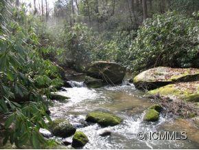 Lot 7 Maybank Road, Unit 7 Saluda, NC 28773 - Photo 7 of 9 Gallery Image 7