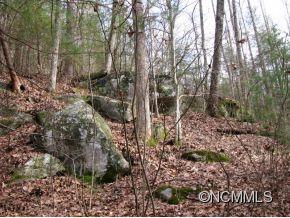 Lot 7 Maybank Road, Unit 7 Saluda, NC 28773 - Photo 9 of 9 Gallery Image 9