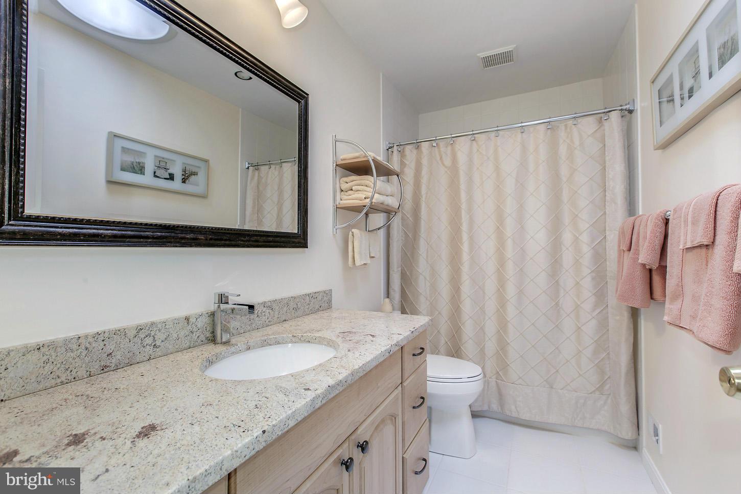 11719 Indian Ridge Road Reston, VA 20191 - Photo 21 of 29 Bath