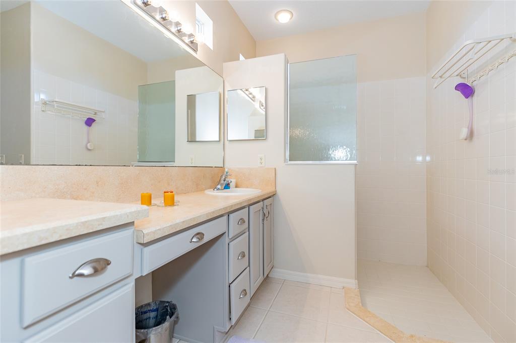 15788 Southwest 11th Terrace Road Ocala, FL 34473 - Photo 23 of 59 a bathroom with a sink and a mirror