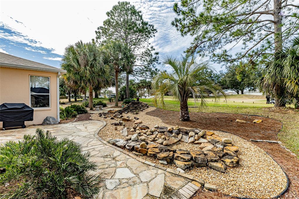 15788 Southwest 11th Terrace Road Ocala, FL 34473 - Photo 37 of 59 a view of a yard with plants and trees