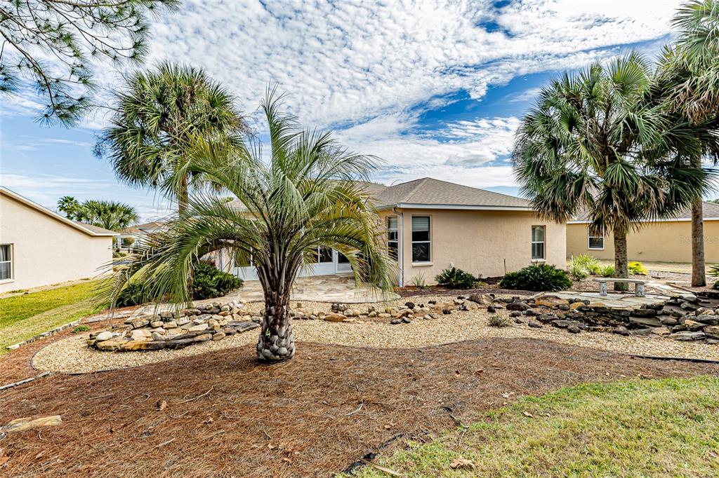 15788 Southwest 11th Terrace Road Ocala, FL 34473 - Photo 39 of 59 a view of a backyard with a tree