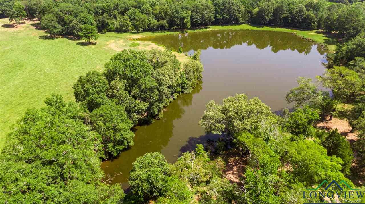 4218 Orbe Road Naples, TX 75568 - Photo 21 of 27 Gallery Image 21