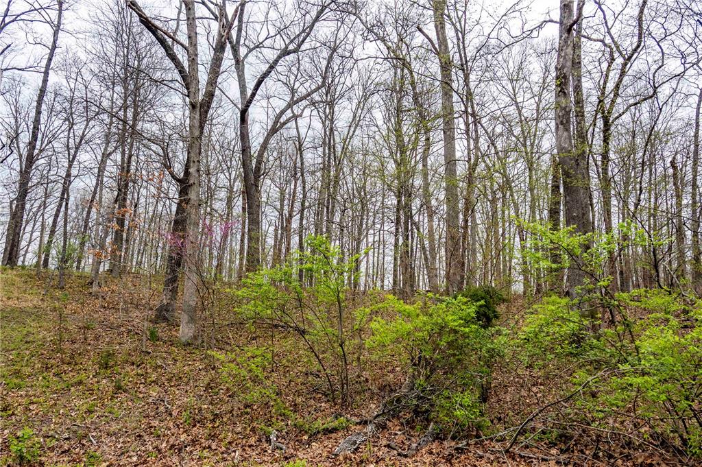 0 West Lake Road Pinckneyville, IL 62274 - Photo 12 of 66