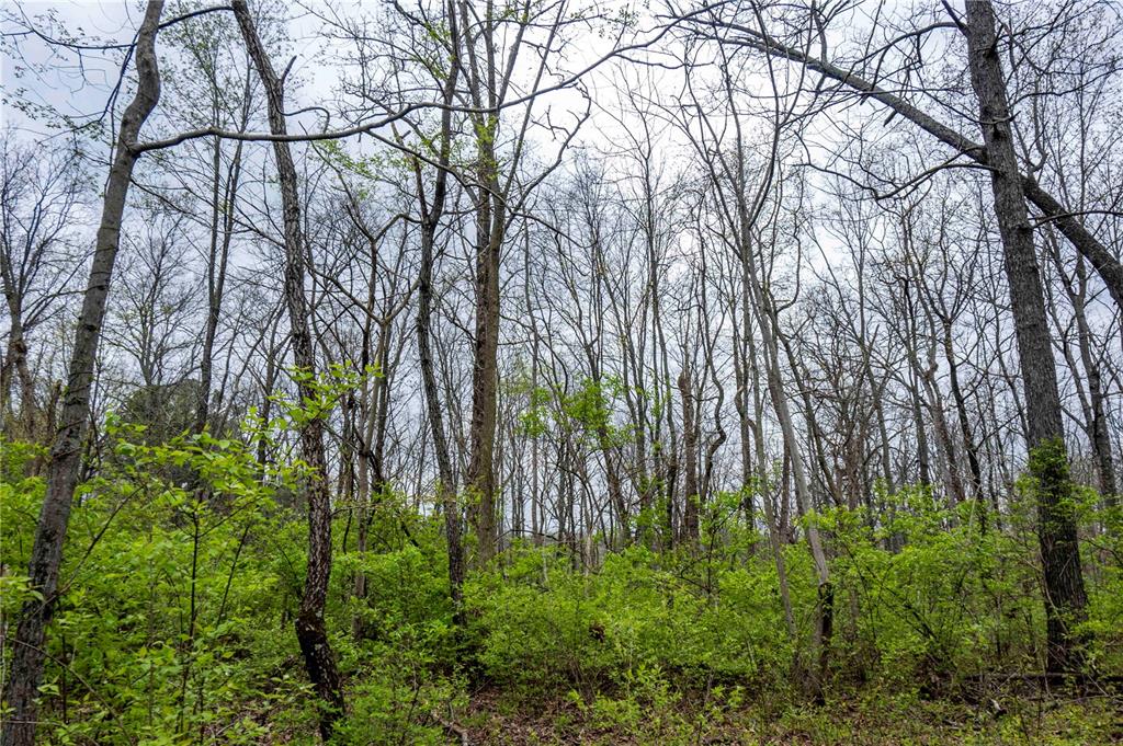 0 West Lake Road Pinckneyville, IL 62274 - Photo 13 of 66