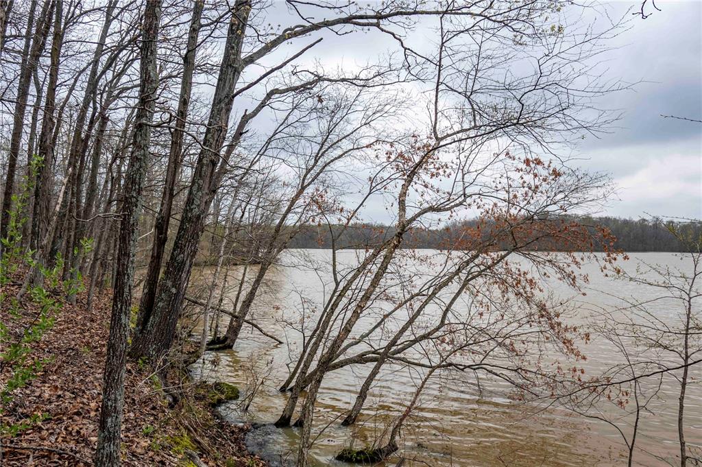 0 West Lake Road Pinckneyville, IL 62274 - Photo 15 of 66