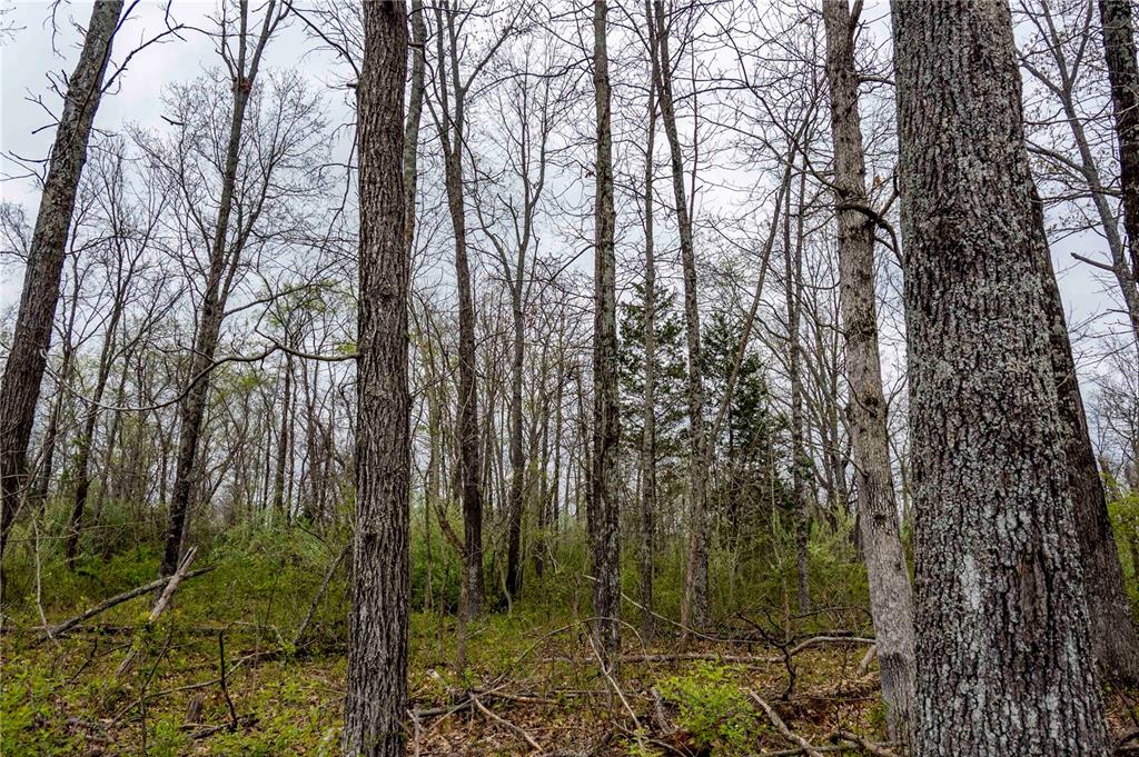 0 West Lake Road Pinckneyville, IL 62274 - Photo 16 of 66