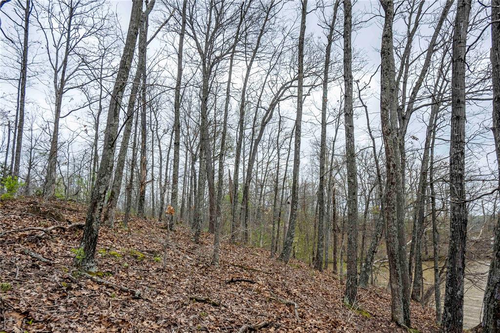 0 West Lake Road Pinckneyville, IL 62274 - Photo 18 of 66