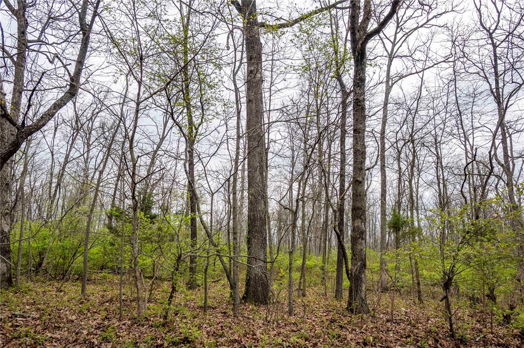 0 West Lake Road Pinckneyville, IL 62274 - Photo 20 of 66