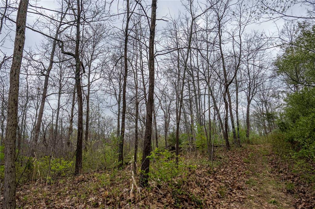 0 West Lake Road Pinckneyville, IL 62274 - Photo 21 of 66