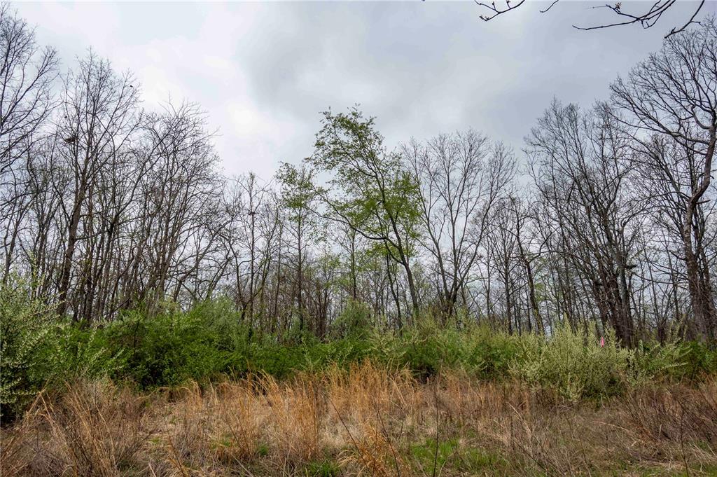 0 West Lake Road Pinckneyville, IL 62274 - Photo 22 of 66