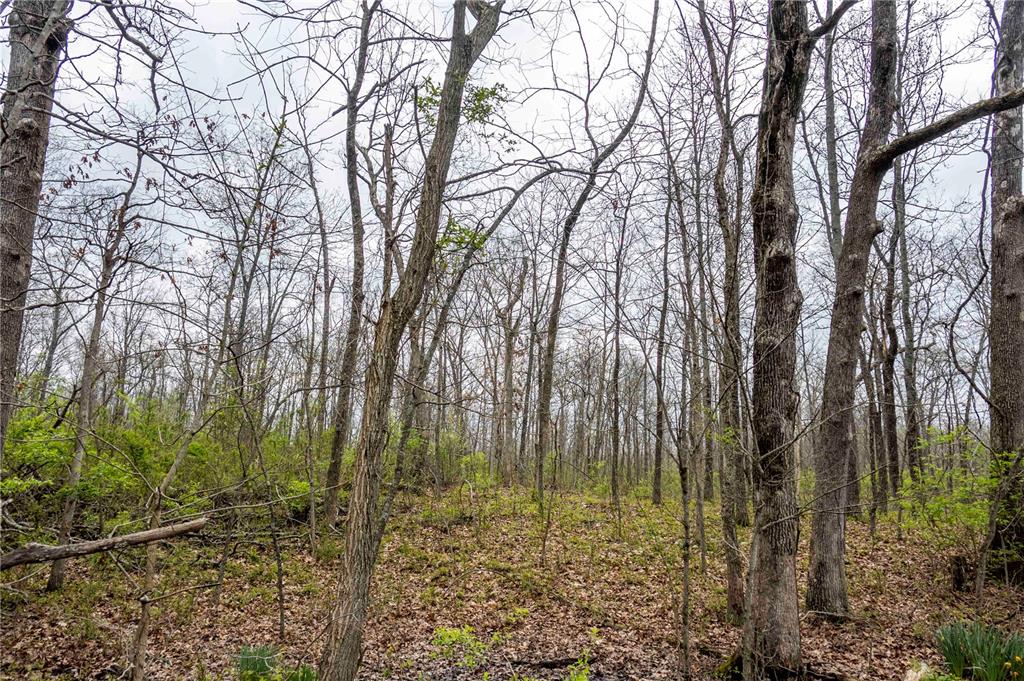 0 West Lake Road Pinckneyville, IL 62274 - Photo 31 of 66