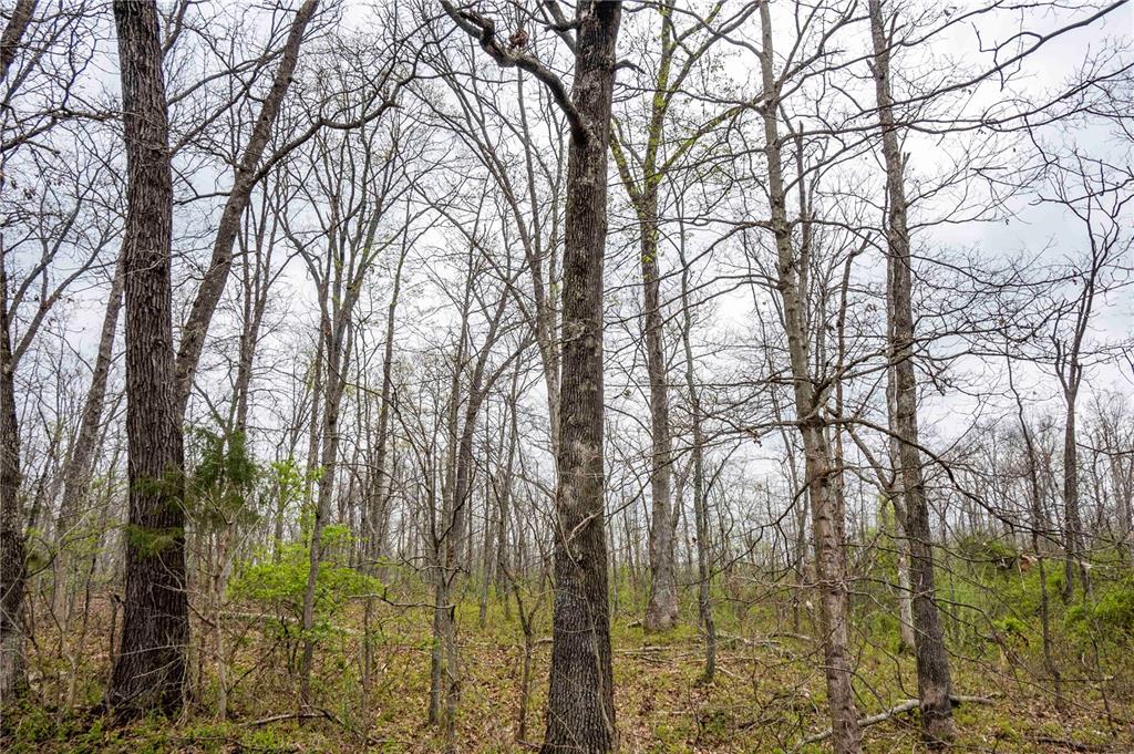 0 West Lake Road Pinckneyville, IL 62274 - Photo 32 of 66