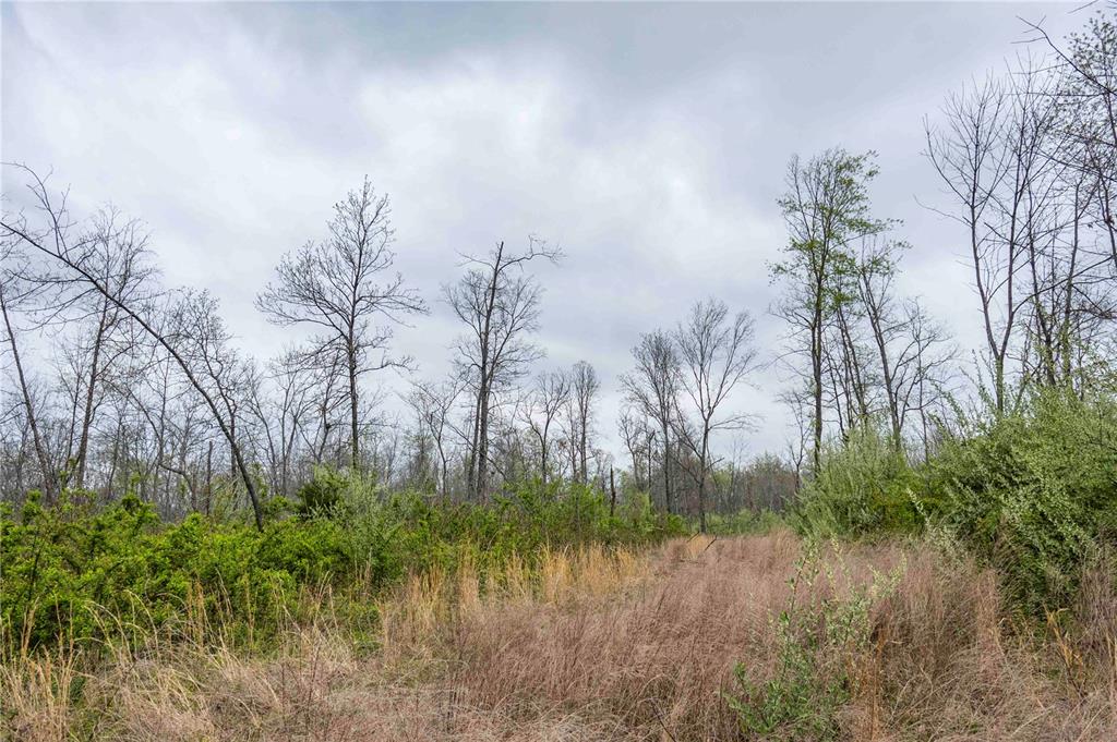 0 West Lake Road Pinckneyville, IL 62274 - Photo 33 of 66