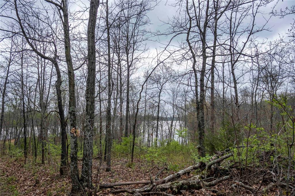 0 West Lake Road Pinckneyville, IL 62274 - Photo 34 of 66