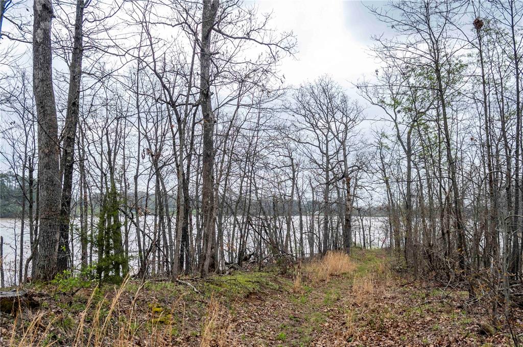 0 West Lake Road Pinckneyville, IL 62274 - Photo 36 of 66