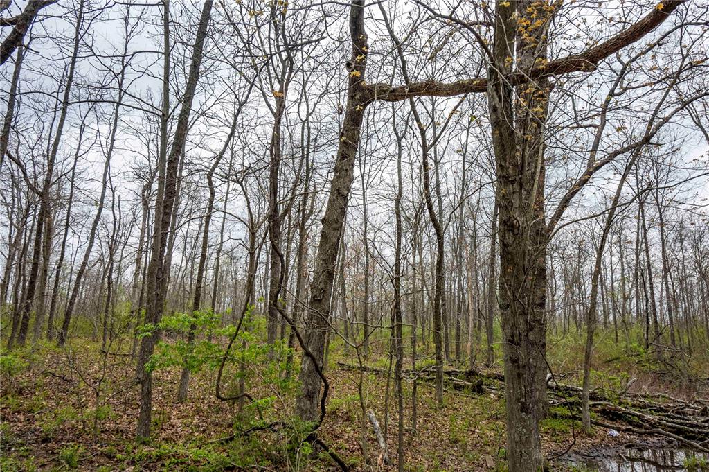 0 West Lake Road Pinckneyville, IL 62274 - Photo 45 of 66