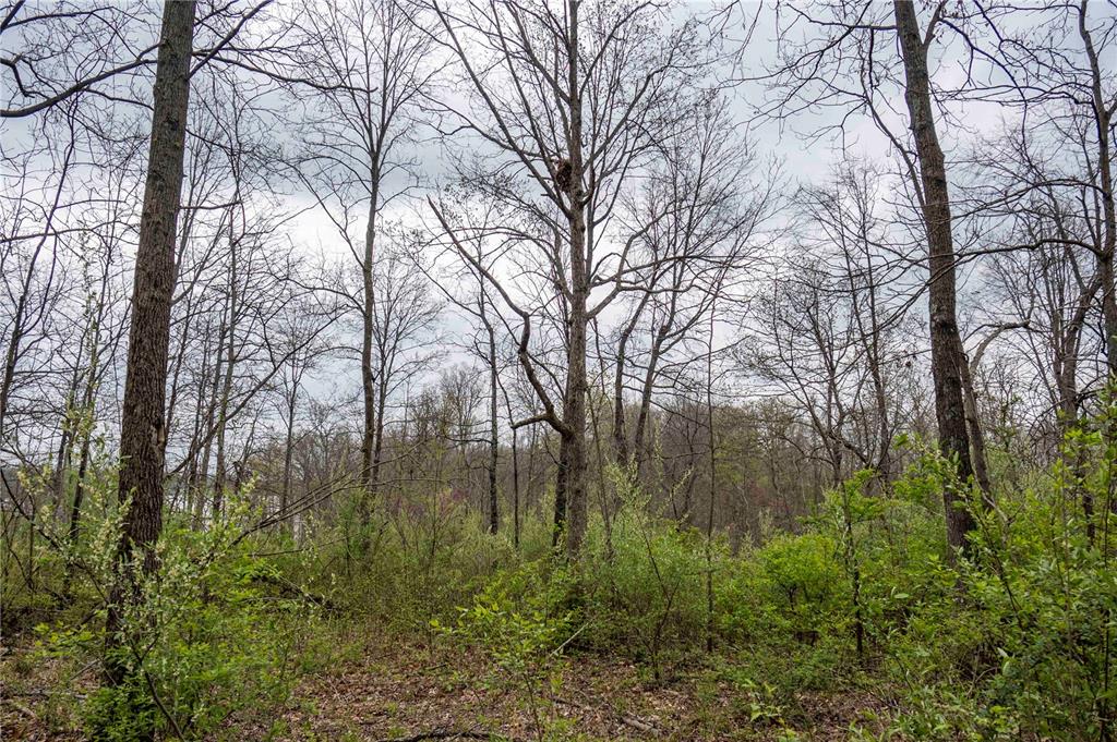 0 West Lake Road Pinckneyville, IL 62274 - Photo 46 of 66