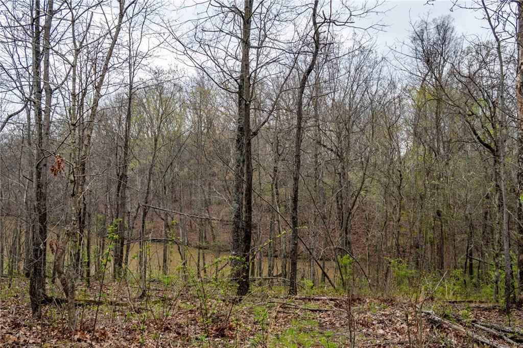 0 West Lake Road Pinckneyville, IL 62274 - Photo 47 of 66