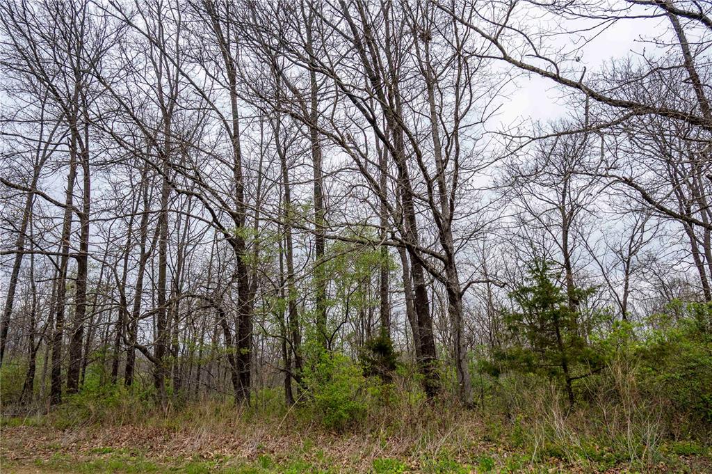 0 West Lake Road Pinckneyville, IL 62274 - Photo 56 of 66