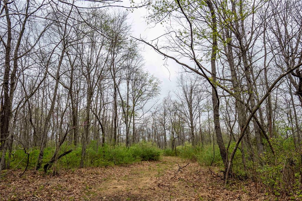 0 West Lake Road Pinckneyville, IL 62274 - Photo 57 of 66