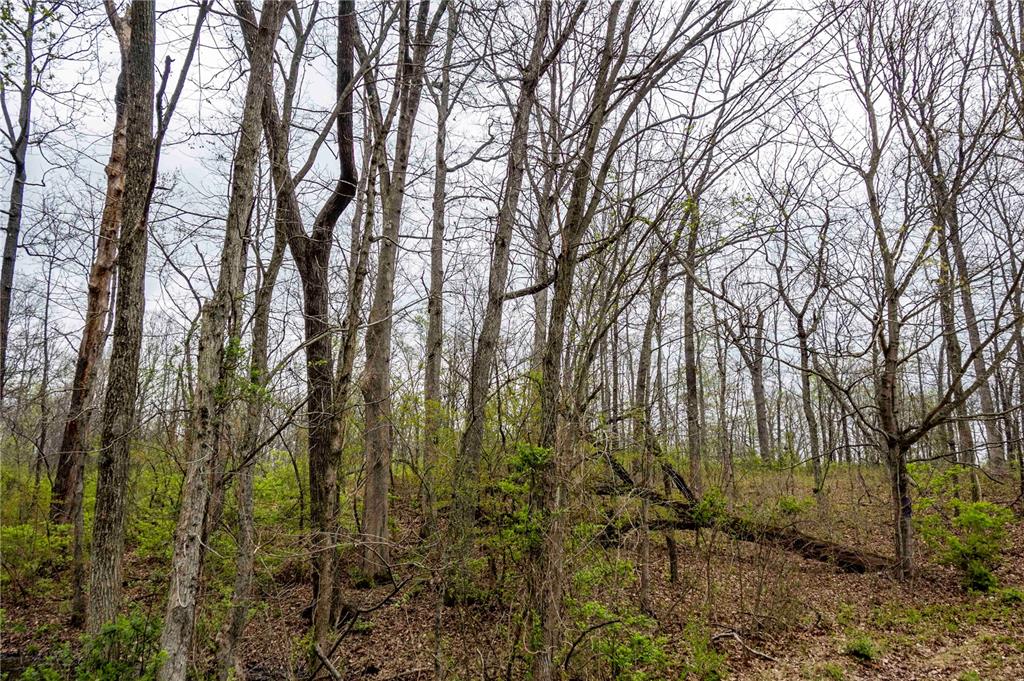 0 West Lake Road Pinckneyville, IL 62274 - Photo 62 of 66