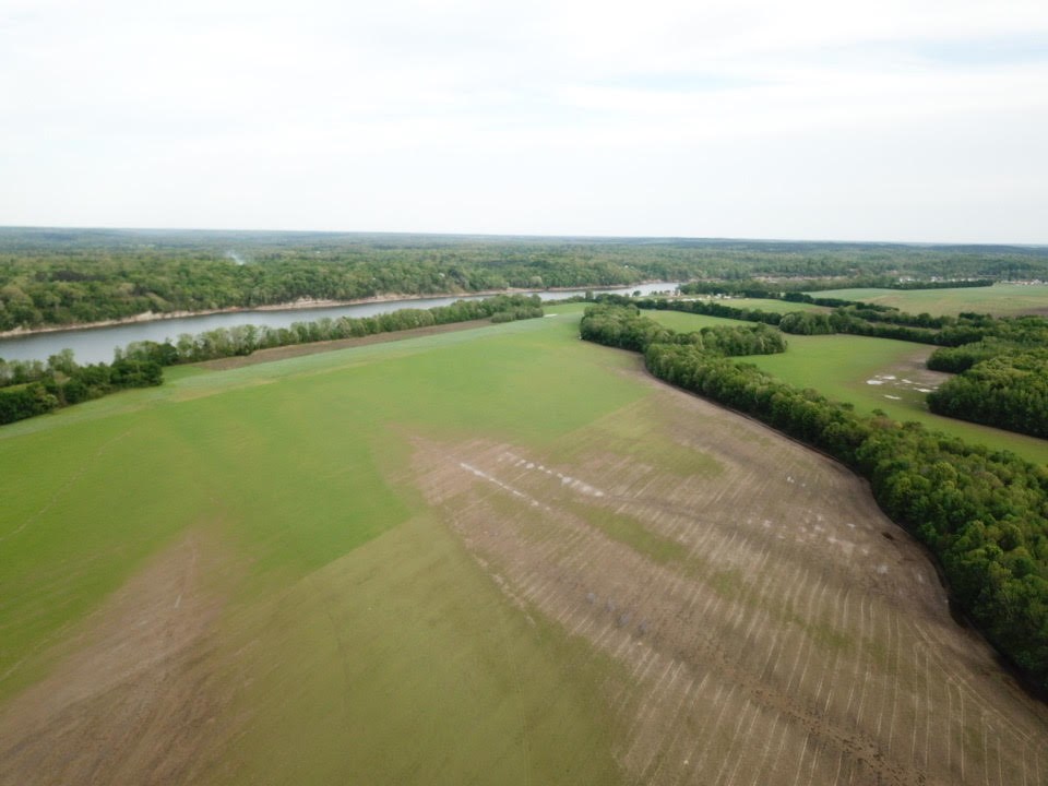 470 Saltillo Road Morris Chapel, TN 38361 - Photo 22 of 24 Gallery Image 22