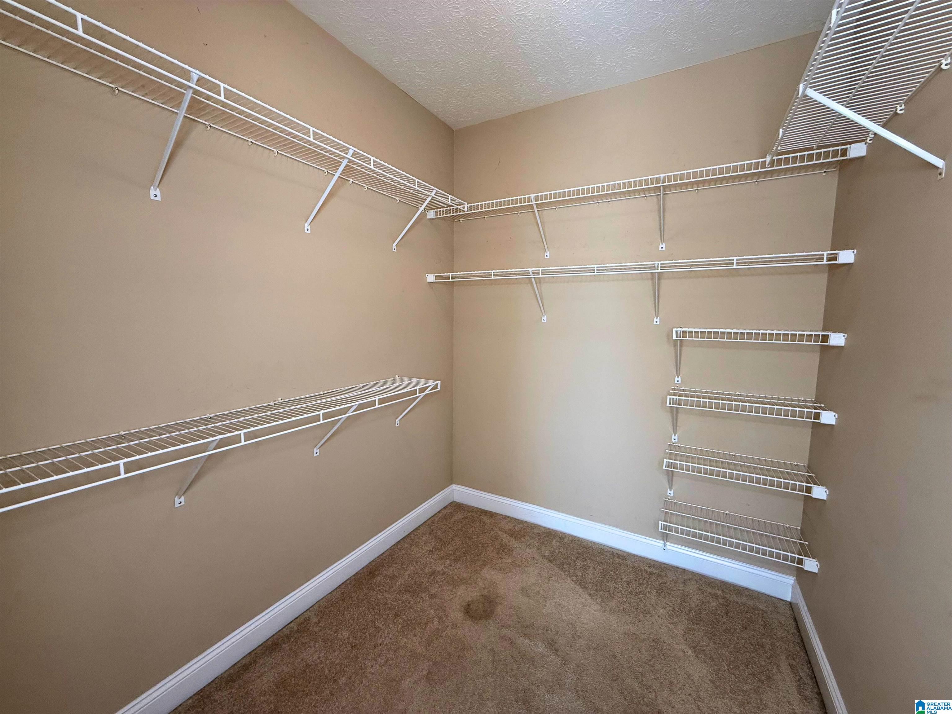 217 Twin Ridge Circle Lincoln, AL 35096 - Photo 19 of 36