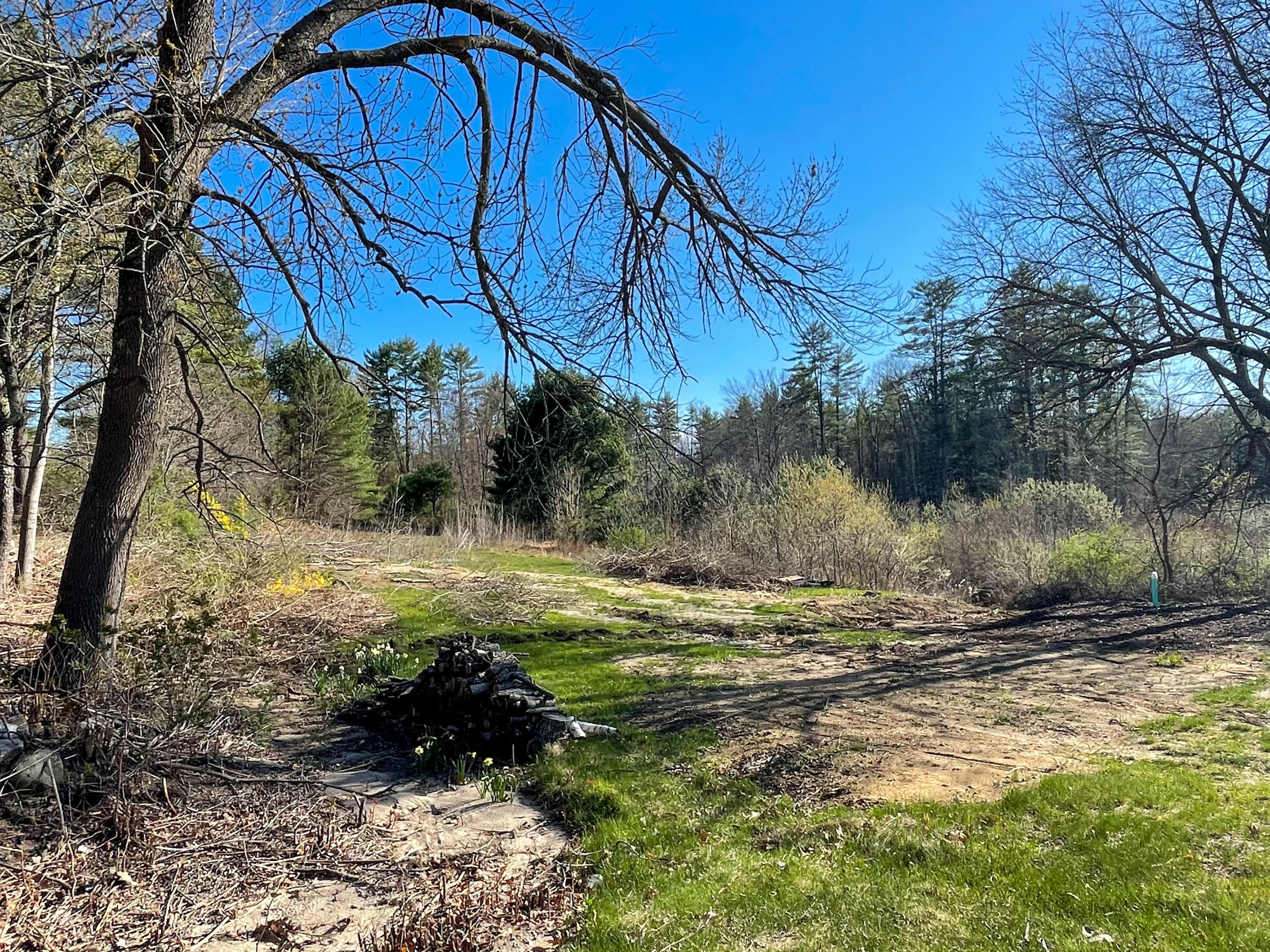 128 Brownfield Road Hiram, ME 04041 - Photo 6 of 28 2021-05-02 16.48.26