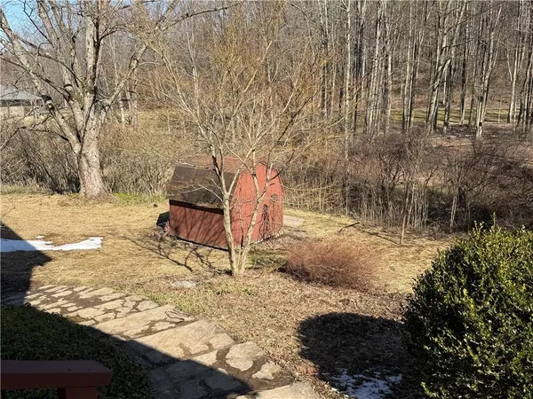 a view of yard with trees
