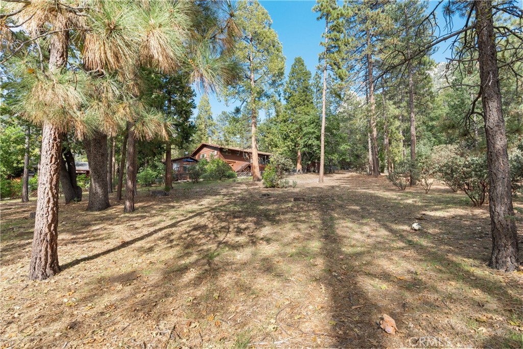 25220 Rim Rock Road Idyllwild, CA 92549 - Photo 3 of 74