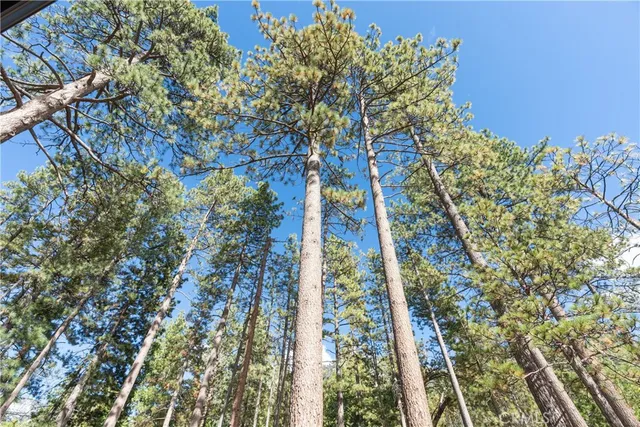 a view of outdoor space with seating space