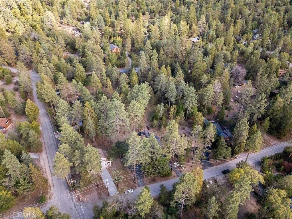 25220 Rim Rock Road Idyllwild, CA 92549 - Photo 48 of 55 a view of a forest with a forest