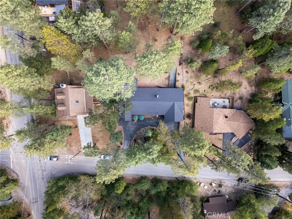 25220 Rim Rock Road Idyllwild, CA 92549 - Photo 50 of 55 an aerial view of a house with a yard and a tree