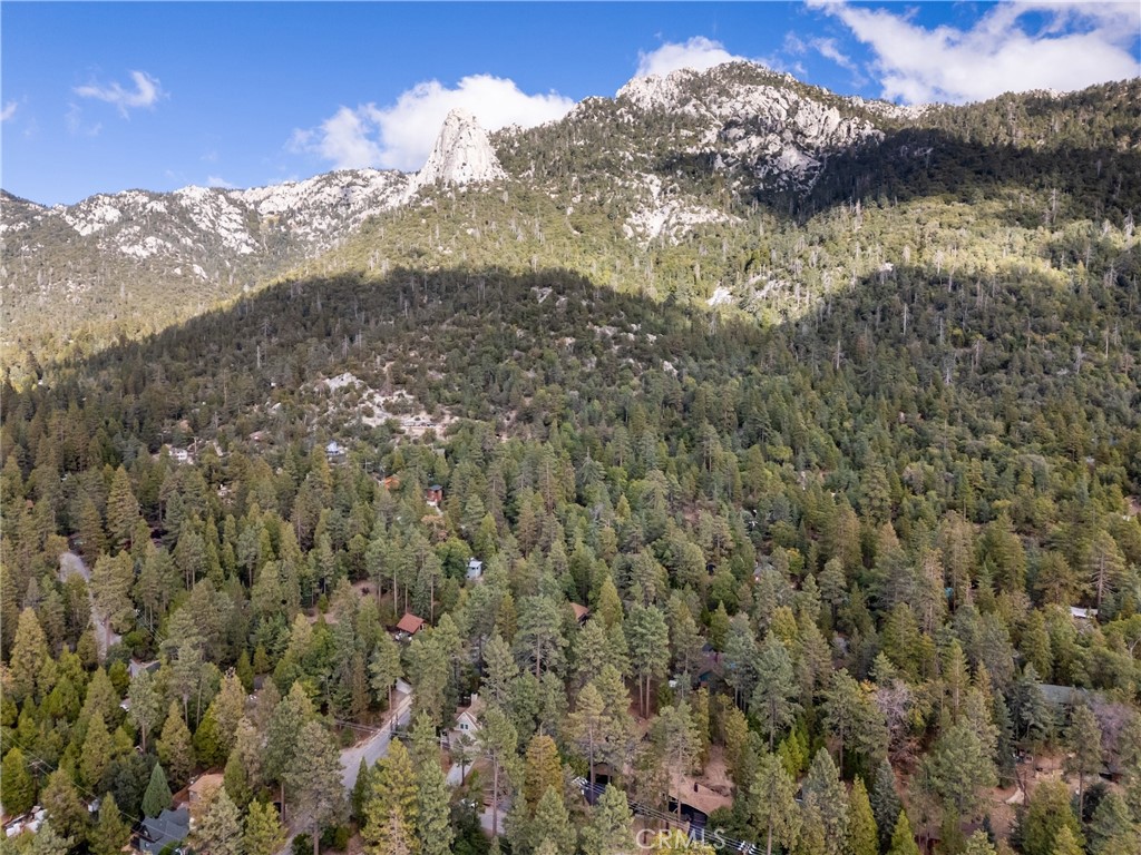 25220 Rim Rock Road Idyllwild, CA 92549 - Photo 53 of 55 a view of a mountain in the distance in a field