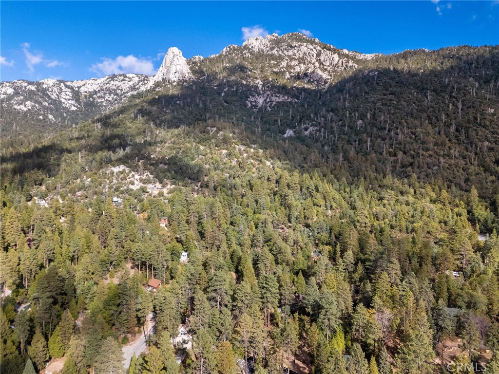 25220 Rim Rock Road Idyllwild, CA 92549 - Photo 55 of 55 a view of a dry yard with mountains in the background
