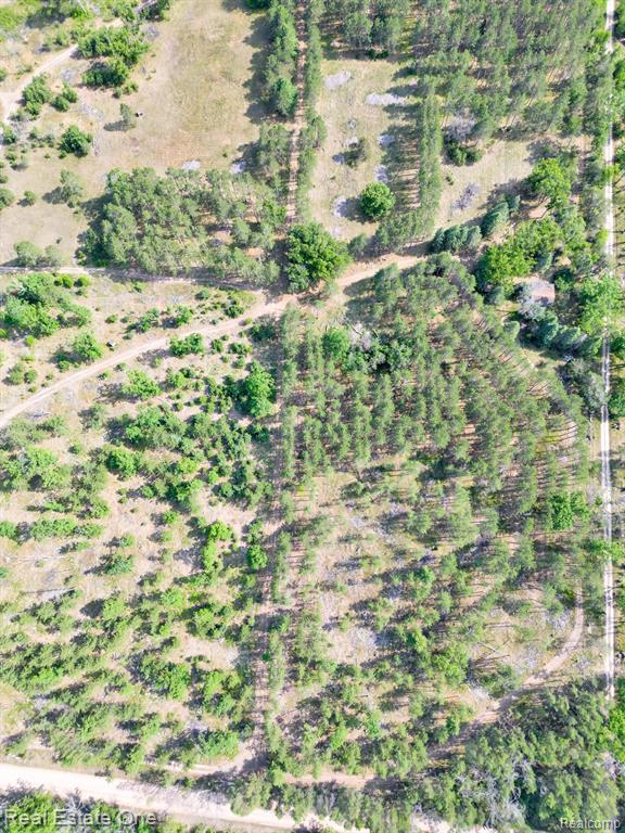 0 East Scribner Road Rose City, MI 48654 - Photo 4 of 20 Gallery Image 4