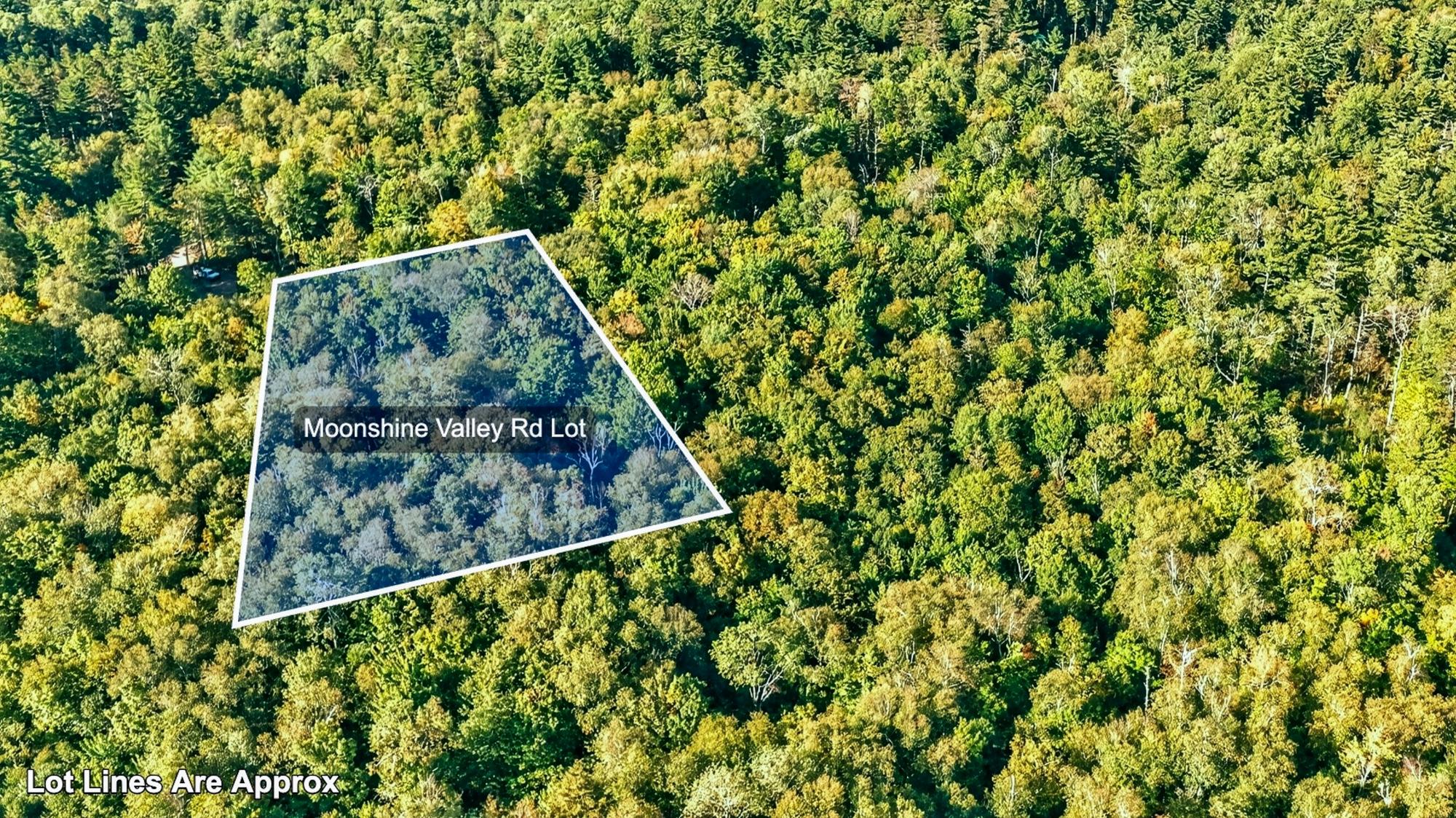 Lot On Moonshine Valley Road Presque Isle, WI 54557 - Photo 12 of 17 Gallery Image 12
