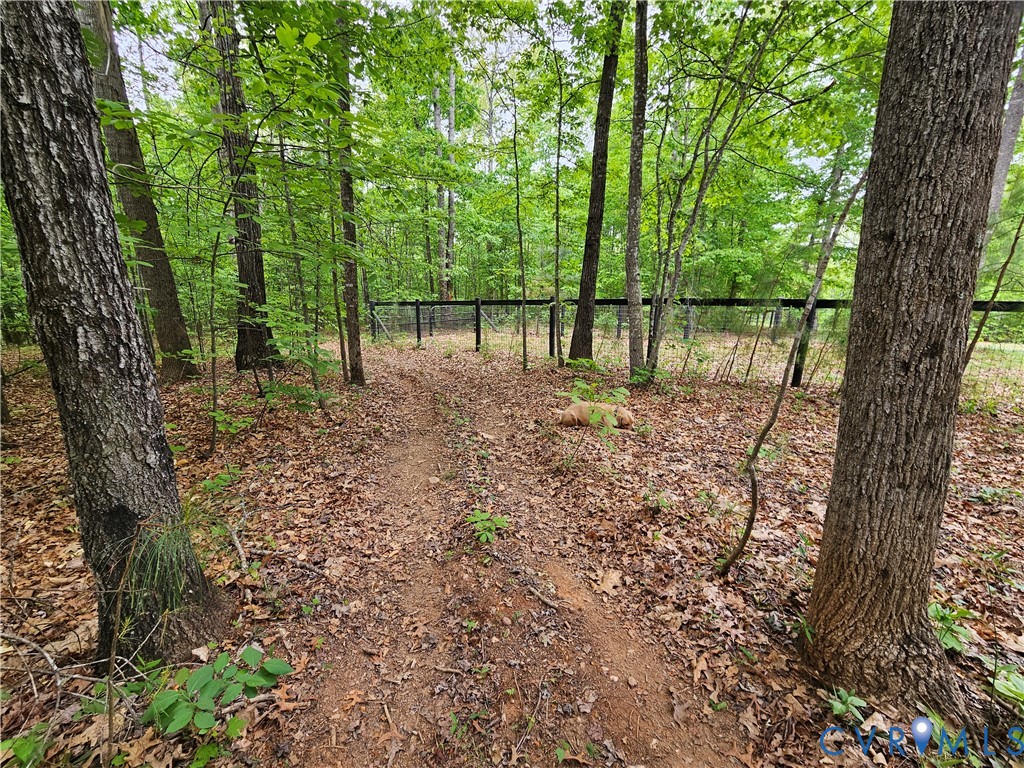 981 Scotts Bottom Road Dillwyn, VA 23936 - Photo 59 of 73 Gallery Image 59