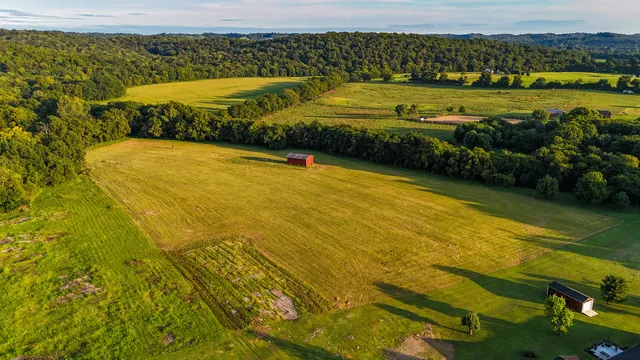 a view of a yard with an outdoor space